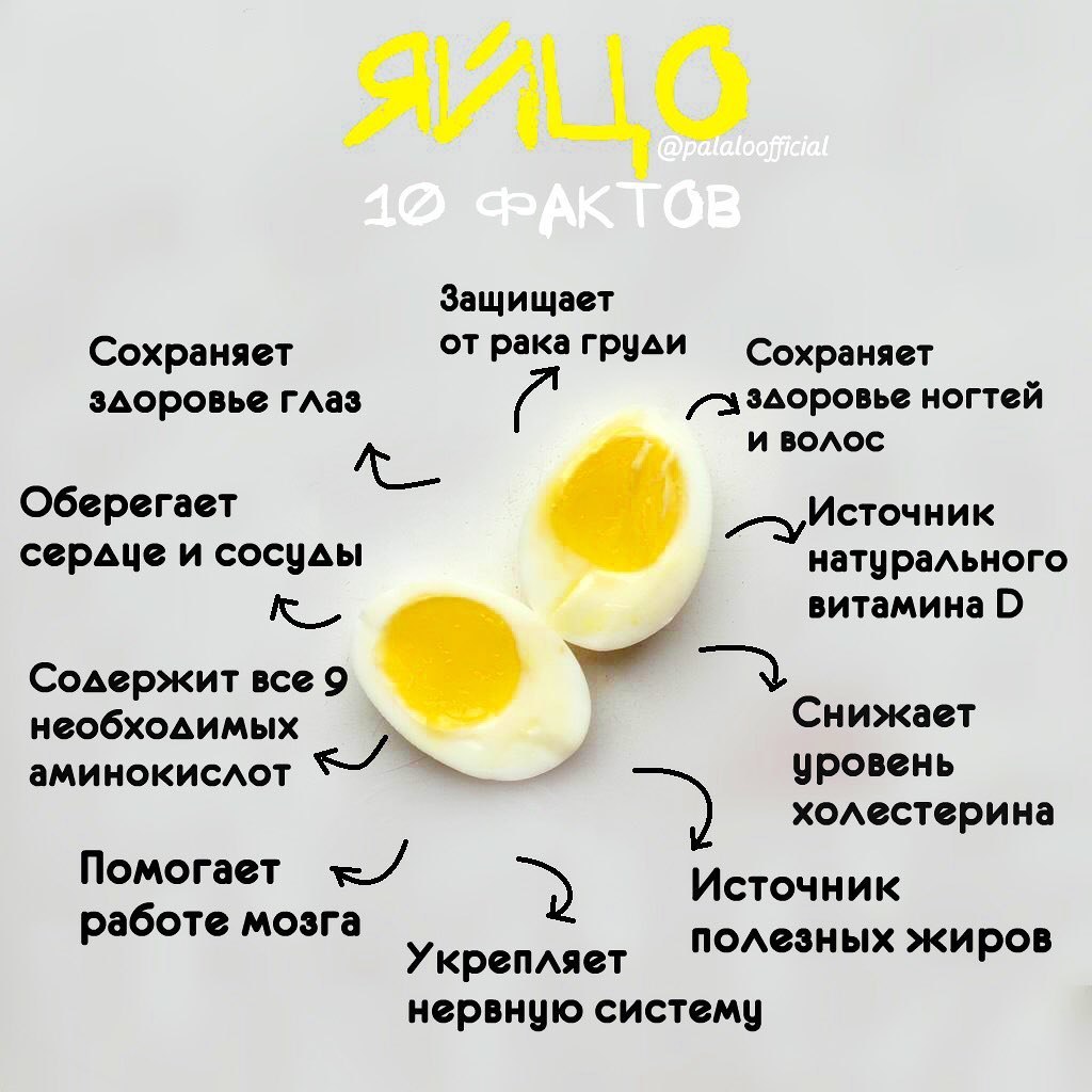 Чем полезно яйцо куриное