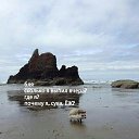  Robert, , 40  -  8  2019    