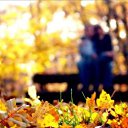 ���� ������, ���� - ��������� 9 �������� 2019 � ������ ���� ����������