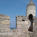 ���� �������, �����, 46 ��� - ��������� 25 ������ 2019 � ������ ���� ����������