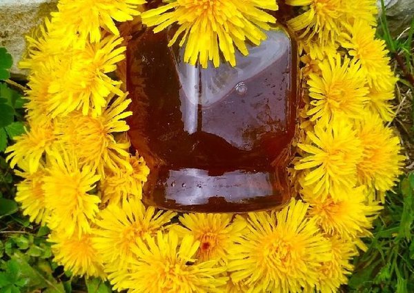 ВАРЕНЬЕ ИЗ ОДУВАНЧИКОВ.Необычный вкус этого ароматного нектарного варенья долгими зимними вечерами ...