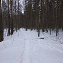 ���� Andrey, �����-��������� - ��������� 19 ��� 2019 � ������ ���� ����������