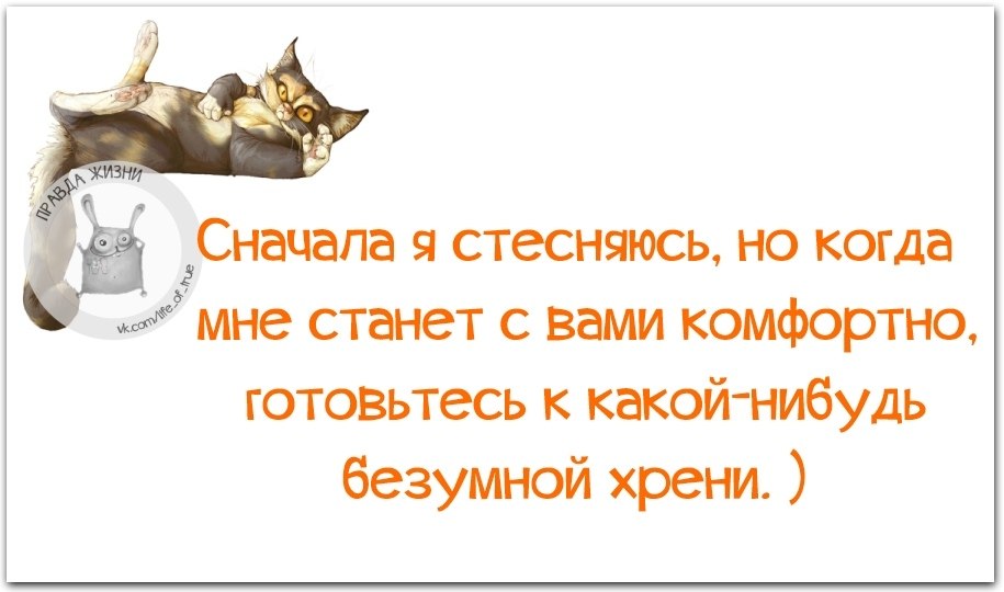 Хочу машину. Собака и банан мем. Мне комфортно с ней. Мне комфортно с ней. Мне комфортно с ней.
