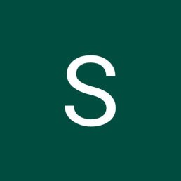Salaev, �����-���������, 28 ���