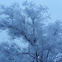 ���� )))�(((, ��������� - ��������� 19 ���� 2019