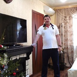 ������, ������, 41 ���