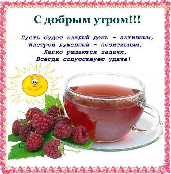   ,    . - 31  2019  22:13 - 2