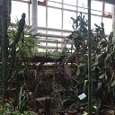 ���� ����, �����������, 50 ��� - ��������� 6 ������ 2019 � ������ ������������� ���