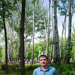 ������, �������, 38 ���