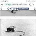 ��������� �� ������� �����������