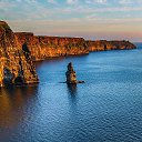 ���� ����, ������������, 43 ���� - ��������� 10 ���� 2019