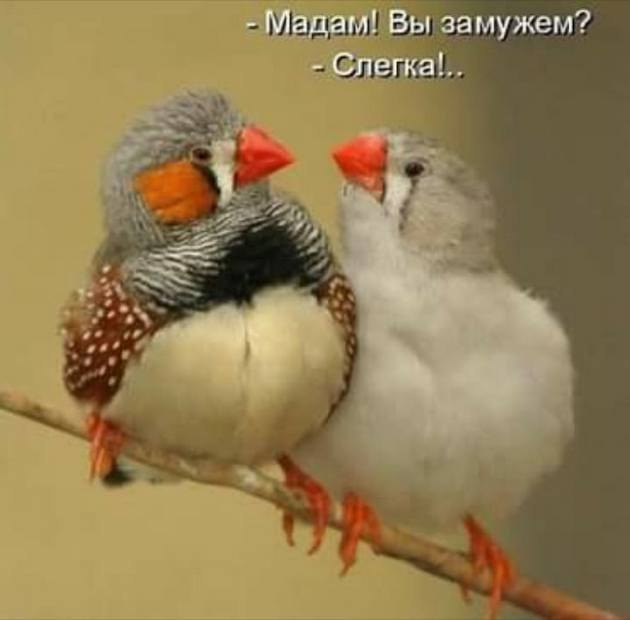 Галина - 12 декабря 2019 в 09:59