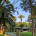 ���� ������� �� ��������, �����, 67 ��� - ��������� 18 �������� 2019 � ������ ���� ����������