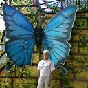 ���� ������, �����, 63 ���� - ��������� 26 �������� 2019 � ������ ���� ����������