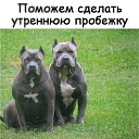 ���� ������, ���, 58 ��� - ��������� 23 ���� 2019 � ������ ���� ����������