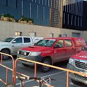  , , 50  -  13  2019   - .  