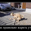 ���� �����, ������, 58 ��� - ��������� 19 ������ 2019 � ������ ������ ��������