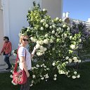 ���� ����, ������-���, 55 ��� - ��������� 4 ������ 2019 � ������ ������� 2019�