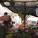 ���� ��������, �������, 74 ���� - ��������� 8 �������� 2019 � ������ ��������.�.�������.�