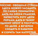 ���� ��������, ��������� - ��������� 2 ������ 2019 � ������ ���� ����������