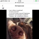 ���� ������., �����-��������� - ��������� 20 ���� 2019 � ������ ������ ��������