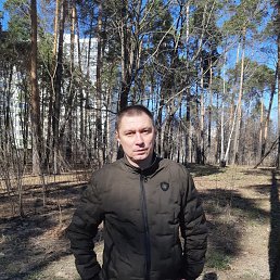 ���� ���������, ���������, 53 ���� - ��������� 19 ������� 2019