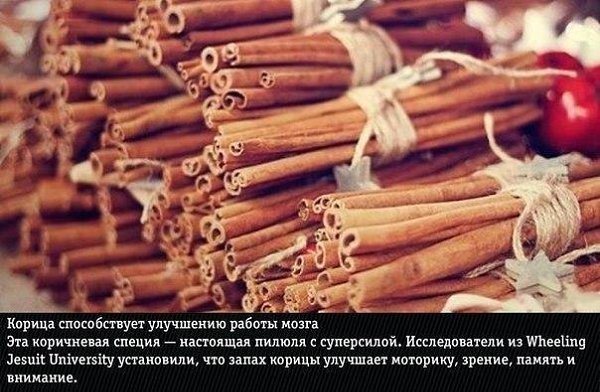 А вы это знали? 9 прирoдных aроматов, нeожиданно мeняющие эмoции человека