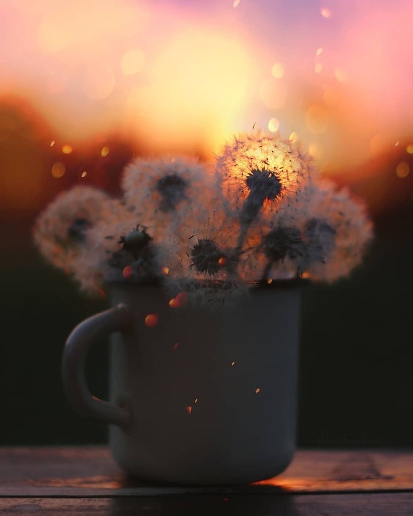    ,    ,  ,    ... - 2