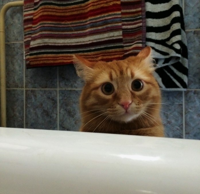 Moe  ac , aoap pcaoy a ax oe.   o o ... - 6