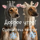 ���� Sergey, ��������, 62 ���� - ��������� 4 ������� 2019