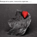 ���� ����, ������� - ��������� 17 ������� 2019 � ������ ������ ��������