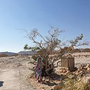 ���� Galina, �������, 64 ���� - ��������� 29 ������� 2019 � ������ ���� ����������