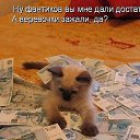 ���� Grus, �������� - ��������� 21 ������ 2019 � ������ ��������