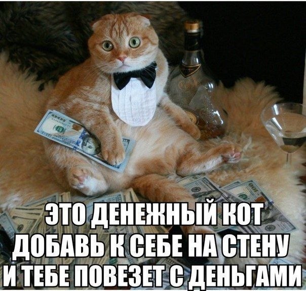 ☆   ☆ - 28  2019  18:44