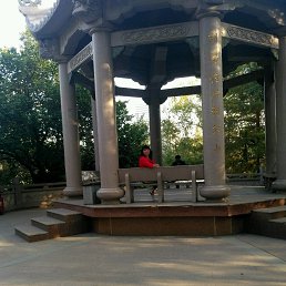 �����, �����������, 53 ����