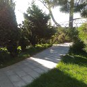 , ,12.09.19.8.30.   , 2019