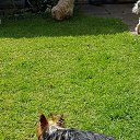���� Zavinta Harrinton, ������ - ��������� 9 ��� 2019 � ������ ���� ����������