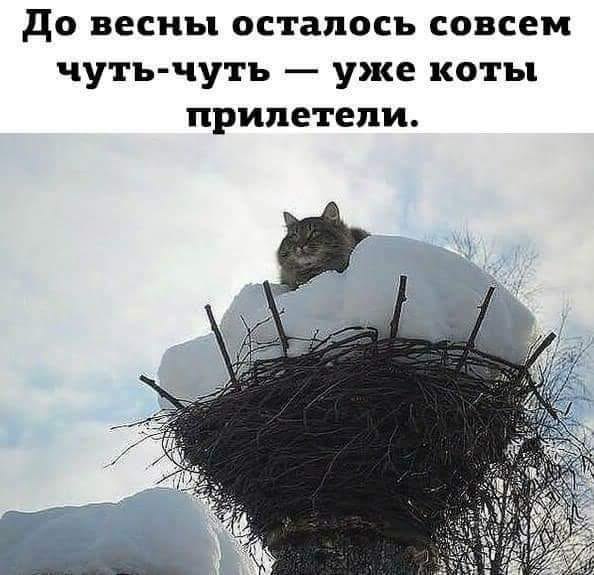 � ���� �� �����... - 4 ������� 2019 � 19:46
