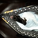 ���� Nik, ������, 49 ��� - ��������� 13 ���� 2019 � ������ ������ ��������