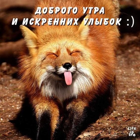 ***Victoria Viktorovna*** - 13  2019  06:59