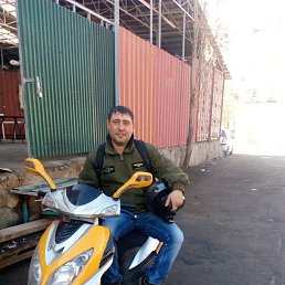 ����, ������, 46 ���