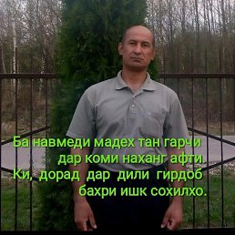 ��������, ������, 59 ���