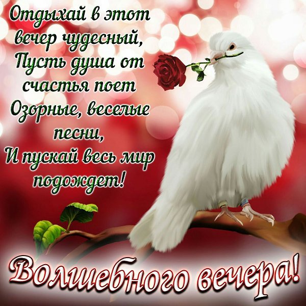 ,    !