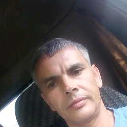 , , 51 