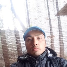 ���������, ������ ��������, 40 ���