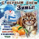 ���� ��������, �����-��������� - ��������� 1 ������� 2019 � ������ ������ ��������