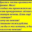 ���� �������, ���������, 66 ��� - ��������� 15 ������� 2019 � ������ ���� ����������