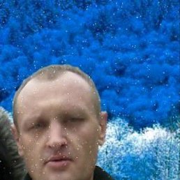 �����, ����, 52 ����