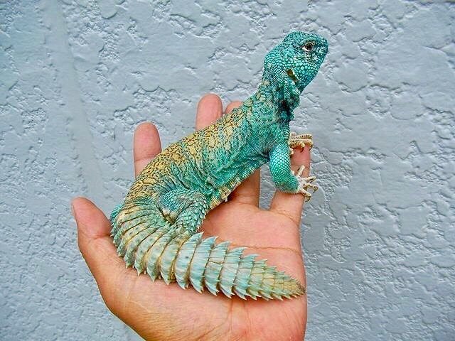 🅘🅝🅢🅟🅘🅡🅐🅣🅘🅞🅝 - 2  2019  06:17