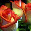 ���� ��������, ���������, 70 ��� - ��������� 7 ��� 2019 � ������ ������ ��������